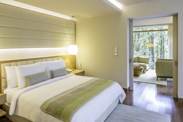 Forest Suite