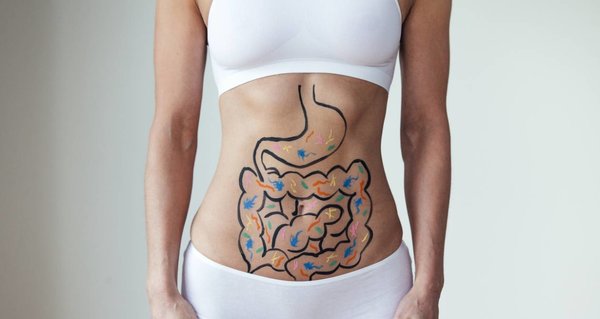 Psychobiotics - From Gut to Brain 