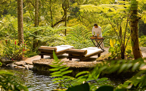 Wellness Experts at Como Shambhala Estate