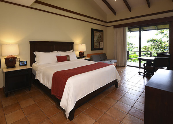 Rainforest Room