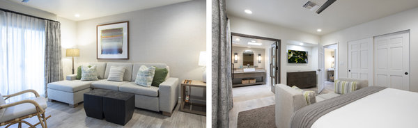 Luxury Suite
