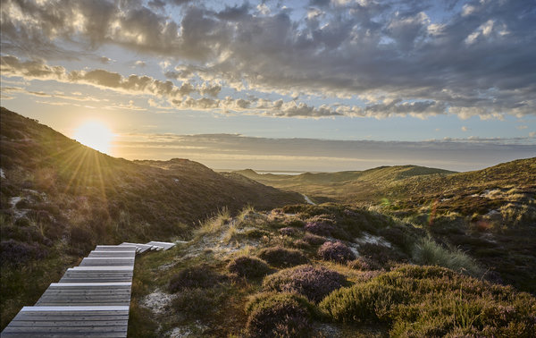 The Times LUXX - Lanserhof Sylt