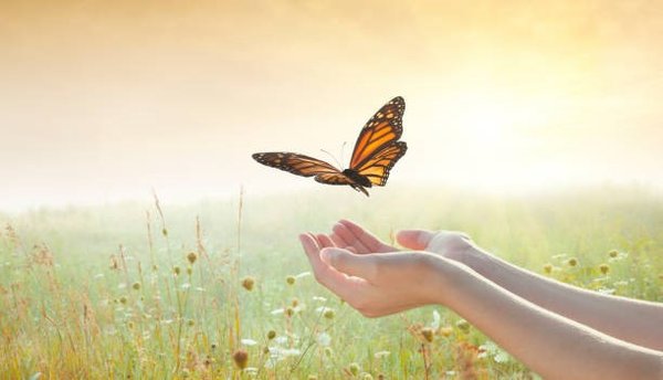 9 Ways To Empower Yourself During The Perimenopause & Menopause