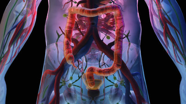 All You Need To Know About Colonics: A Guide To Colonic Irrigation