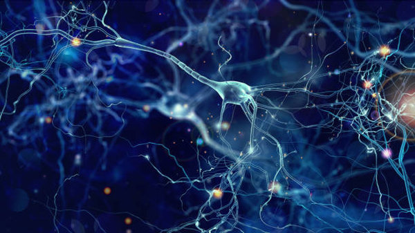 The Importance Of Vitamin B For A Healthy Nervous System