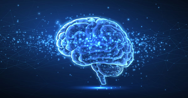 Brain-Derived Neurotrophic Factor And Brain Longevity: How To Improve Cognitive Health Naturally
