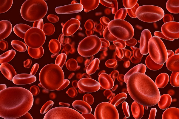 Apheresis & INUSpheresis®: The Ultimate Blood Reset For Longevity