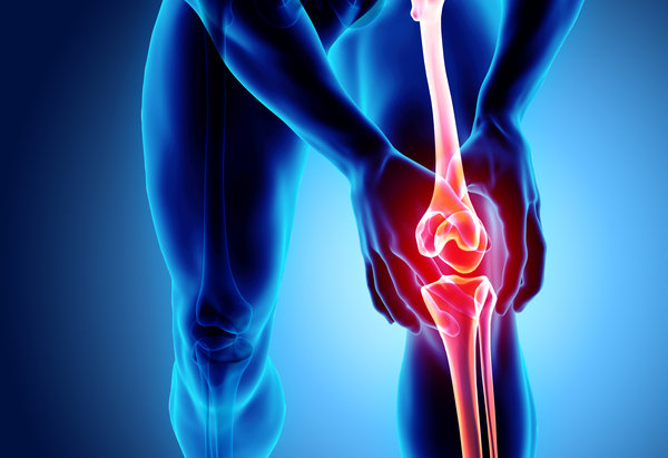 Nourish Your Joints: The Holistic Guide to Joint Health