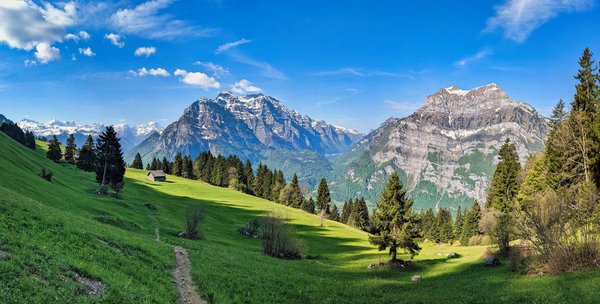 Altitude Rooms At Buff Medical Resort – Health Benefits & Medical Integration