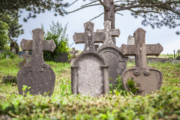 Sitting With The Dead