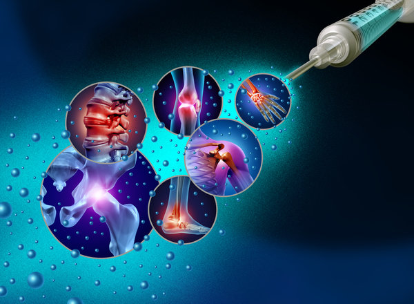Stem Cells, Regeneration And The Future Of Healthy Ageing