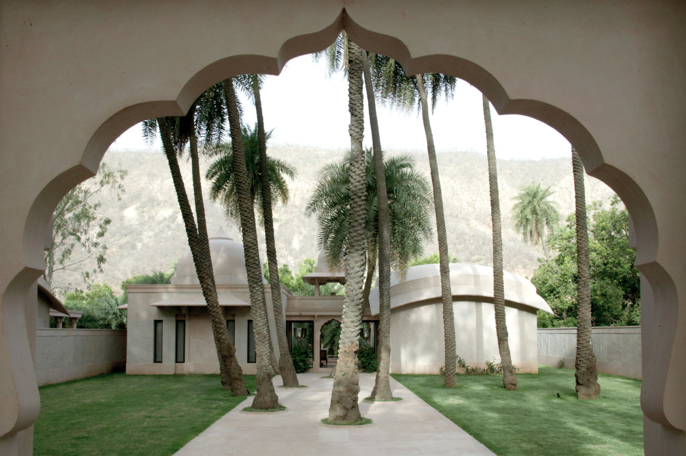 a scenery of coconut tress on a garden in a spa