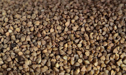 Buckwheat 