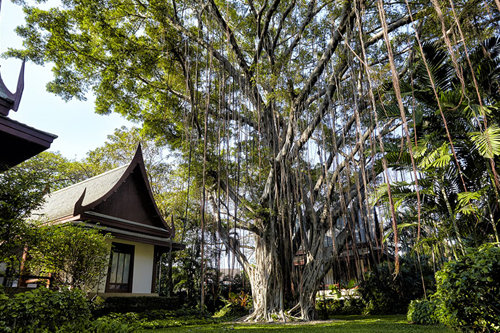 a building in a garden with a big tree