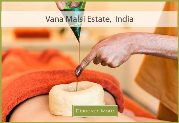 Vana Malsi Estate India