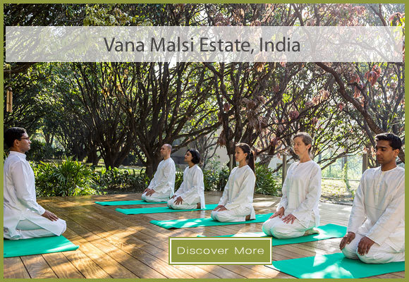 Vana Malsi Estate India