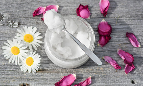 Coconut oil and common daisy